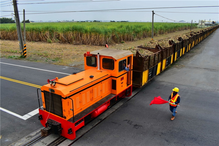 製糖期間，民眾可見五分車穿梭市區街道及鄉間蔗園，也是虎尾特有的景象。