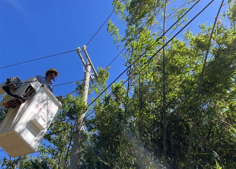 台電5日即啟動防颱整備作業，全面加強鄰近供電線路樹竹修剪。