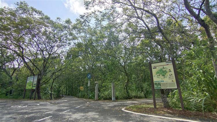 台糖森林碳匯開發將與農業部合作，規劃以大農大富平地森林園區50公頃造林地申請自願減量專案。