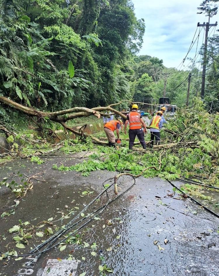 今日因電桿遭樹木壓斷，造成復興區中正路、各山區部落一帶共4690戶停電